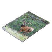 振り返るワンエルク |ロッキー山脈 ノートブック (左側)