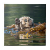 振るラッコ タイル (正面)