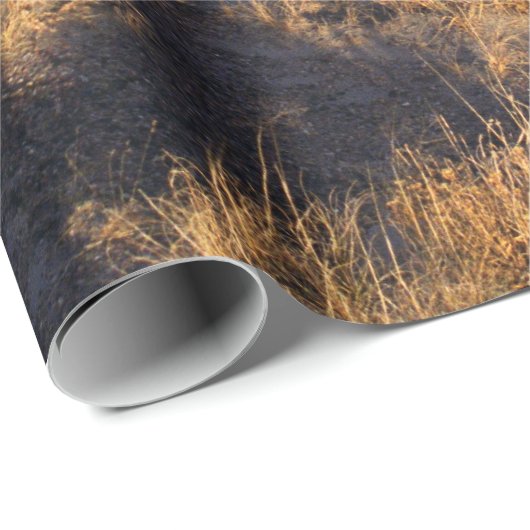 振る影の写真との砂漠の景色 ラッピングペーパー (ロールコーナー)