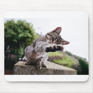 捕まえよう。猫おもしろい マウスパッド
