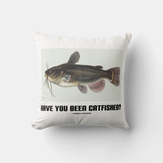 捕まったのか?ナマズイラストレーション クッション (正面)