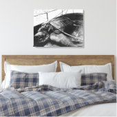 捕らえられた大ウミガメの見解 キャンバスプリント (インサイチュ (寝室))