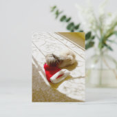 捕獲されたサンタ シーズンポストカード (スタンド正面)