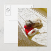 捕獲されたサンタ シーズンポストカード (正面/裏面)