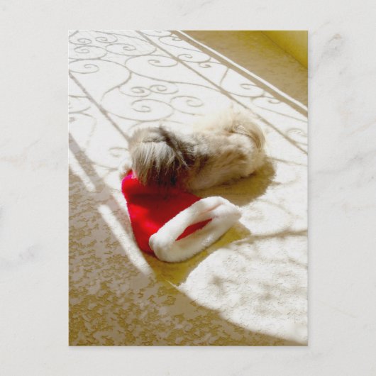 捕獲されたサンタ シーズンポストカード (正面)