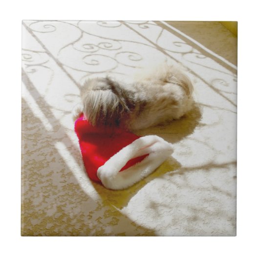 捕獲されたサンタ タイル (正面)