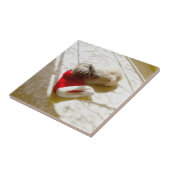 捕獲されたサンタ タイル (側面)