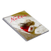 捕獲されたサンタ ノートブック (右側)