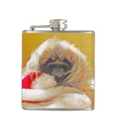 捕獲されたサンタ フラスク (正面)