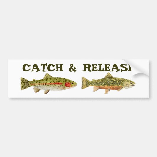 捕獲物及び解放のバンパーステッカー バンパーステッカー (正面)