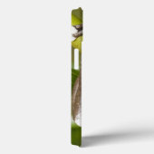 捕虜のTapichalacaのアマガエルHyloscirtus Case-Mate iPhoneケース (裏面 / 右)