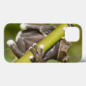 捕虜のTapichalacaのアマガエルHyloscirtus Case-Mate iPhoneケース (裏面 (横))