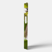 捕虜のTapichalacaのアマガエルHyloscirtus Case-Mate iPhoneケース (裏面 / 右)