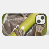 捕虜のTapichalacaのアマガエルHyloscirtus iPhoneケース (裏面横)