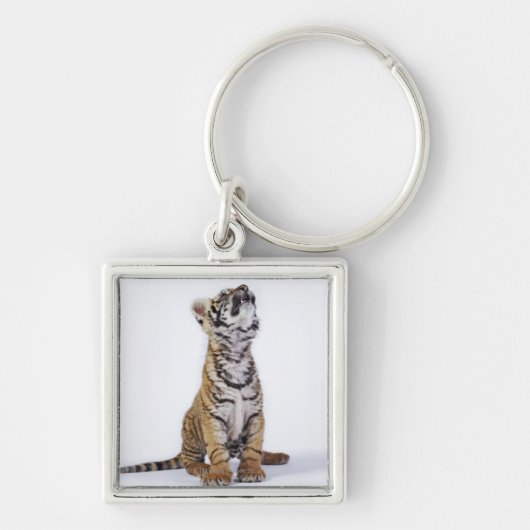 捕虜、南アフリカ共和国 キーホルダー (正面)