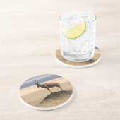 捕食者のための眺望のTsessebeのカモシカ コースター (側面)