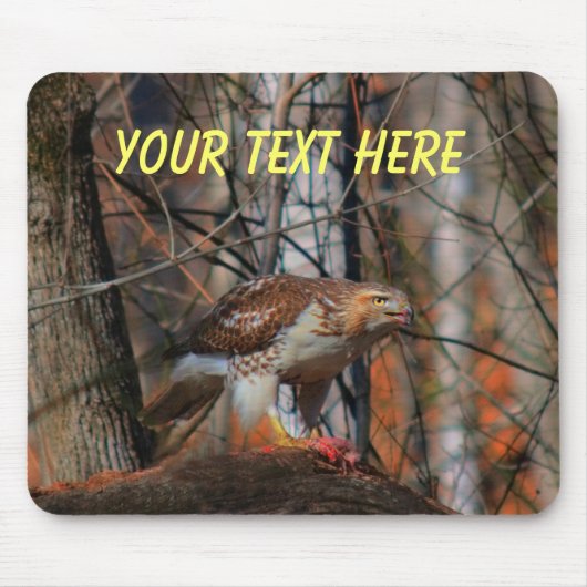 捕食者の姿勢 マウスパッド (正面)