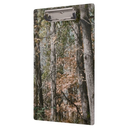 捜すか、または採取する森林木の迷彩柄のカムフラージュの自然 クリップボード (左)