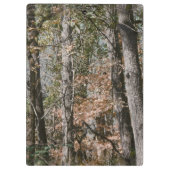 捜すか、または採取する森林木の迷彩柄のカムフラージュの自然 クリップボード (裏面)