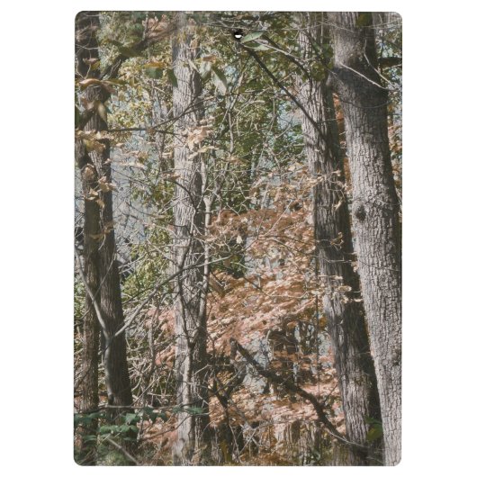 捜すか、または採取する森林木の迷彩柄のカムフラージュの自然 クリップボード (裏面)