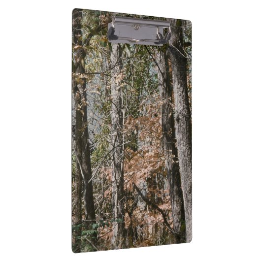 捜すか、または採取する森林木の迷彩柄のカムフラージュの自然 クリップボード (右)
