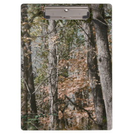 捜すか、または採取する森林木の迷彩柄のカムフラージュの自然 クリップボード