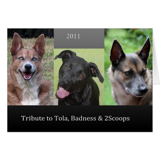 捧げ物 (正面横)