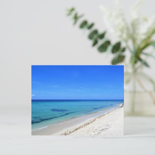 捨てられたコスメルビーチ穏やかなティール(緑がかった色)水ホワイトサンド ポストカード (スタンド正面)