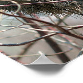 捨てられた鳥の巣春 ポスター (角)