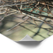 捨てられた鳥の巣 ポスター (角)