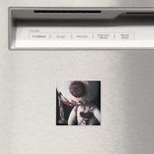 「捨てられた」磁石 マグネット (インサイチュ (食洗機))