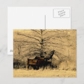 捨てダンプトラック ポストカード (正面/裏面)