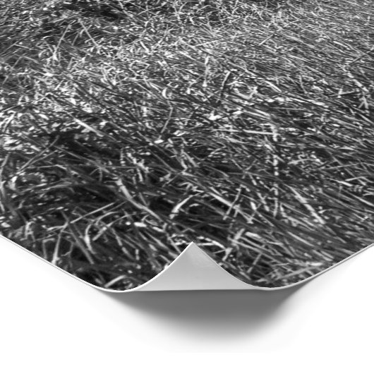 捨て客車 ポスター (角)