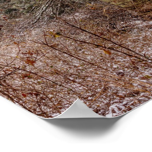 捨て小屋 ポスター (角)