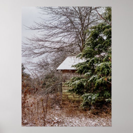 捨て小屋 ポスター (正面)