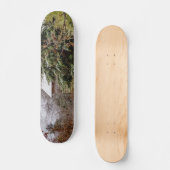 捨て捨て スケートボード (正面)