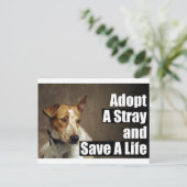 捨て札を採用する ポストカード (スタンド正面)