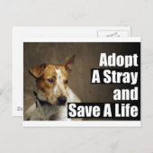 捨て札を採用する ポストカード (正面/裏面)