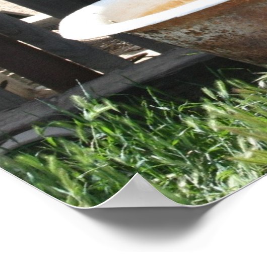 捨て浴槽 ポスター (角)