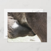 授乳式ミニフォール ポストカード (正面/裏面)