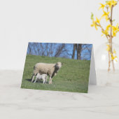 授乳用ラム カード (黄色い花)