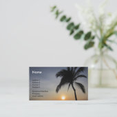 掌太陽 名刺 (スタンド正面)