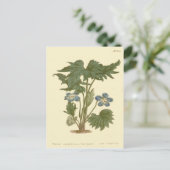 掌状のバイオレットブルーのイラスト ポストカード (スタンド正面)