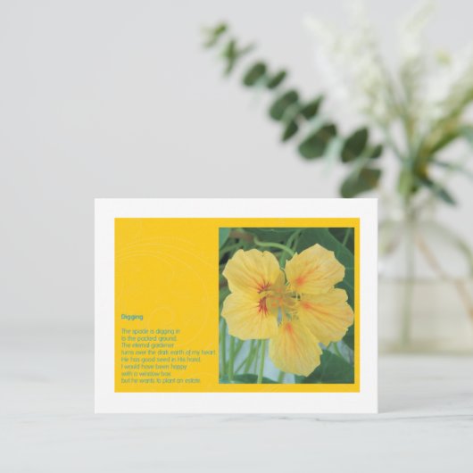 掘り ポストカード (スタンド正面)