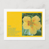 掘り ポストカード (正面)