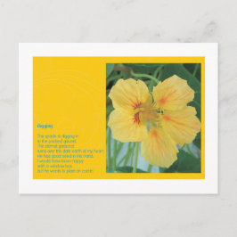 掘り ポストカード