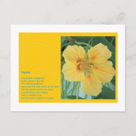 掘り ポストカード (正面)