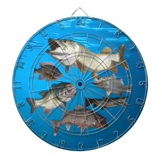 採取 ダーツボード (正面)