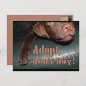 採用するな買!- fuxart ポストカード (正面/裏面)