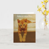 採用の保存はオレンジ子ネコNotecard住んでいます カード (黄色い花)